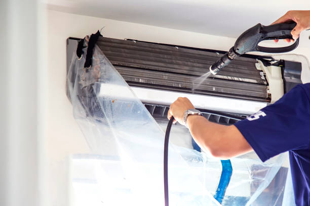 Best Air Duct Sanitizing Services  in Roanoke, VA