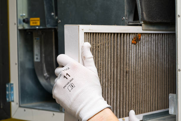 Best Home Air Vent Cleaning  in Roanoke, VA