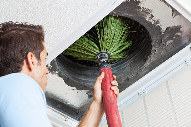 Best HVAC Air Duct Cleaning  in Roanoke, VA